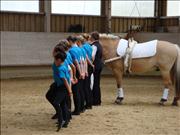 voltitag 2009 _CD2 122